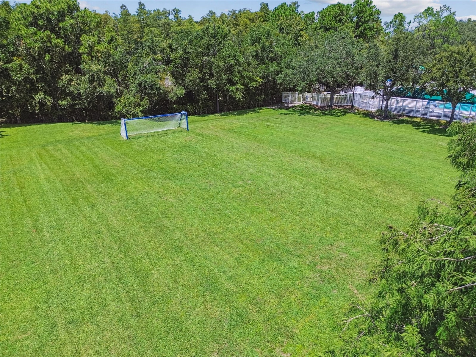 5323 Bold Venture Place Wesley Chapel FL 33544 TB8487835 image64