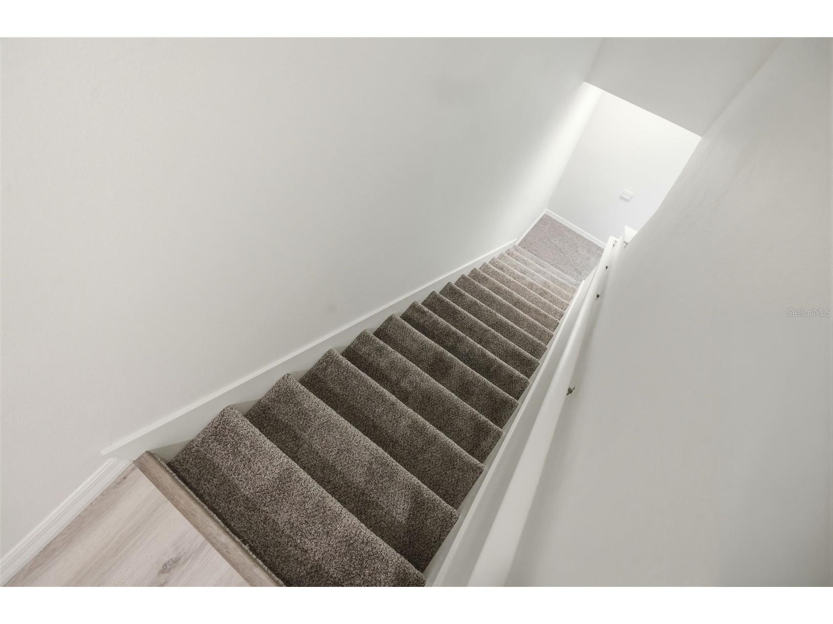 5323 Dragonfly Drive Wildwood FL 34785 TB8492400 image22