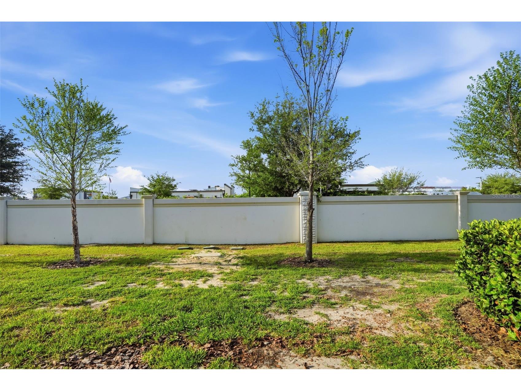 5323 Dragonfly Drive Wildwood FL 34785 TB8492400 image42