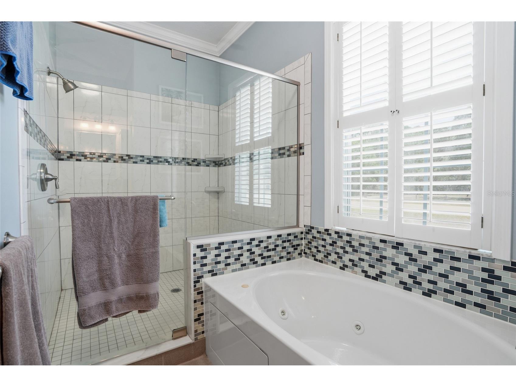 5323 Eagle Boulevard Land O Lakes FL 34639 TB8521892 image15