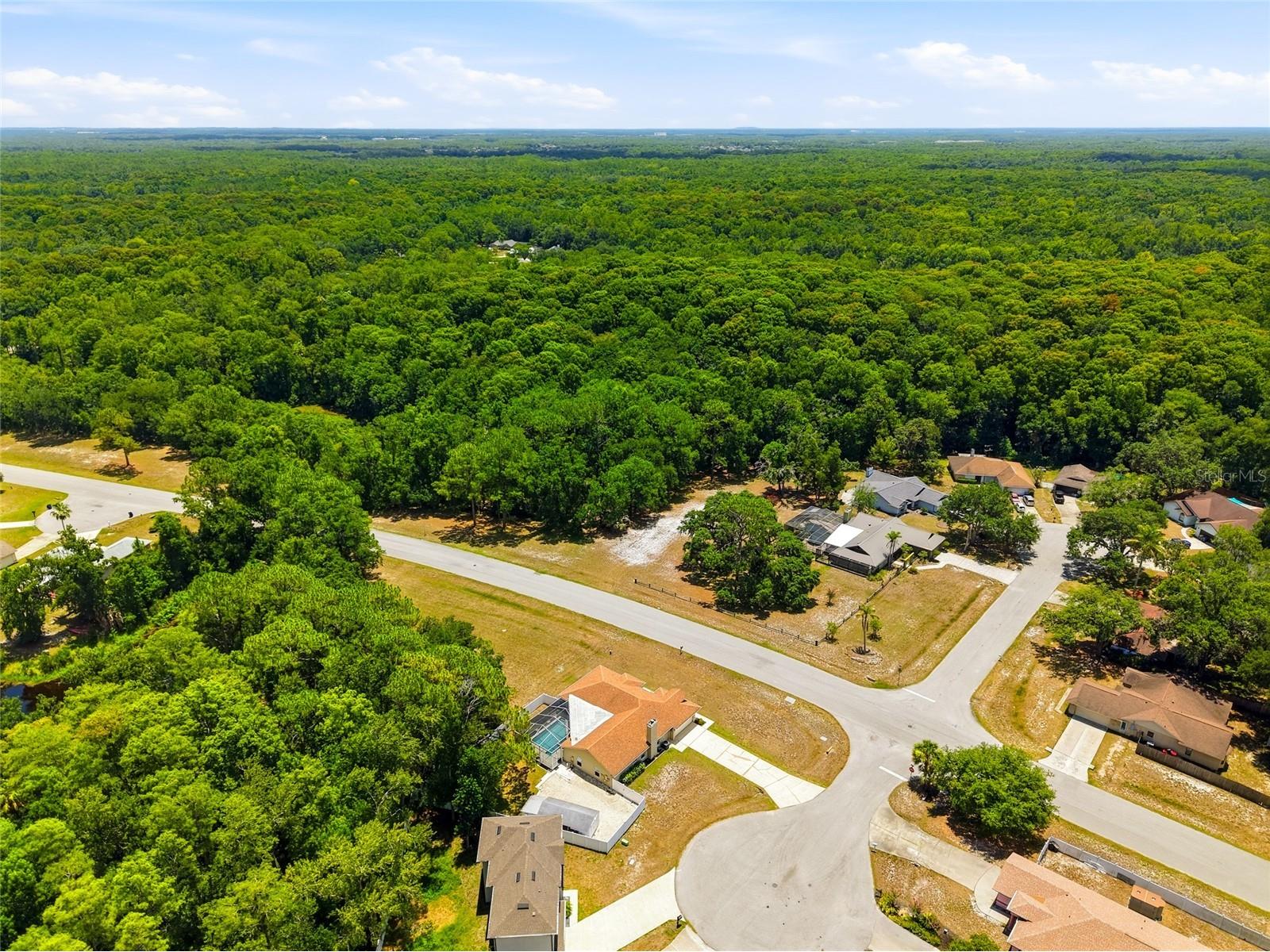5323 Eagle Boulevard Land O Lakes FL 34639 TB8521892 image39