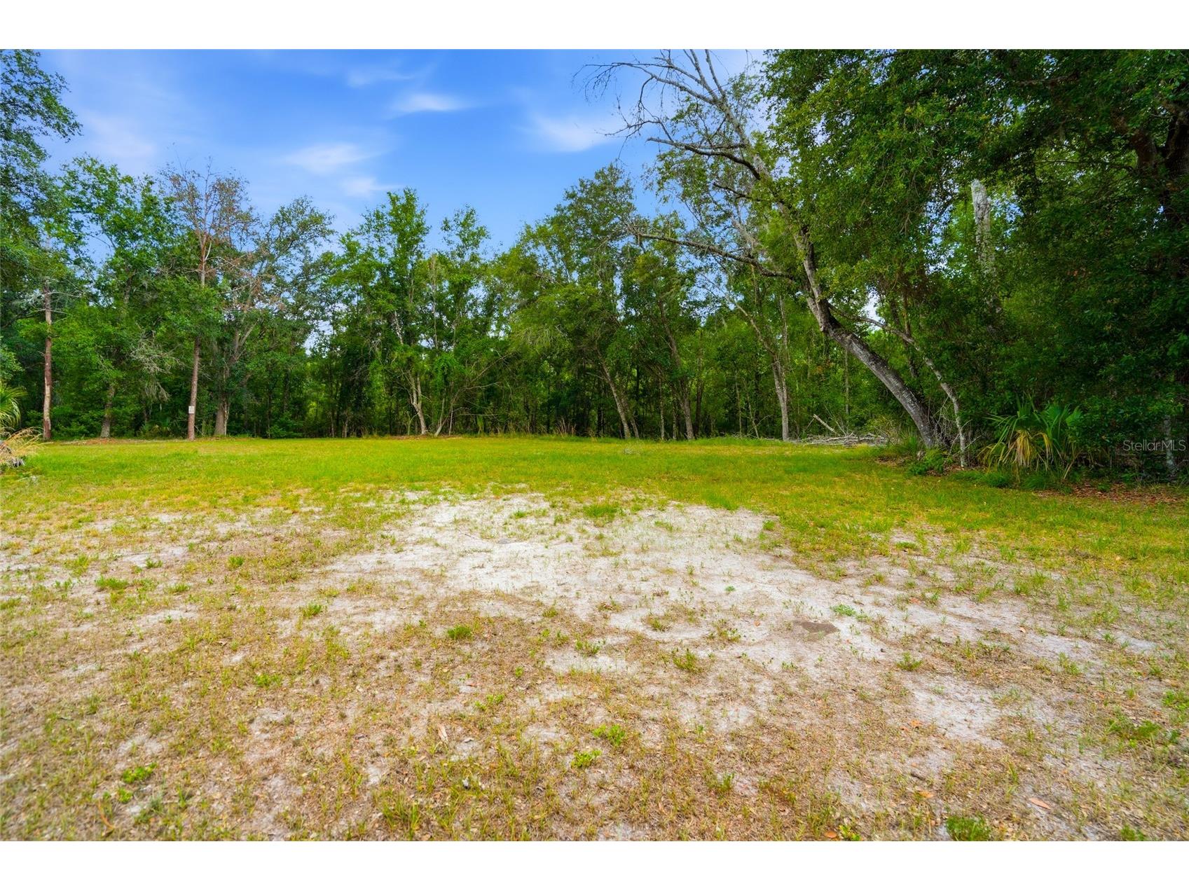 5323 Eagle Boulevard Land O Lakes FL 34639 TB8521892 image46