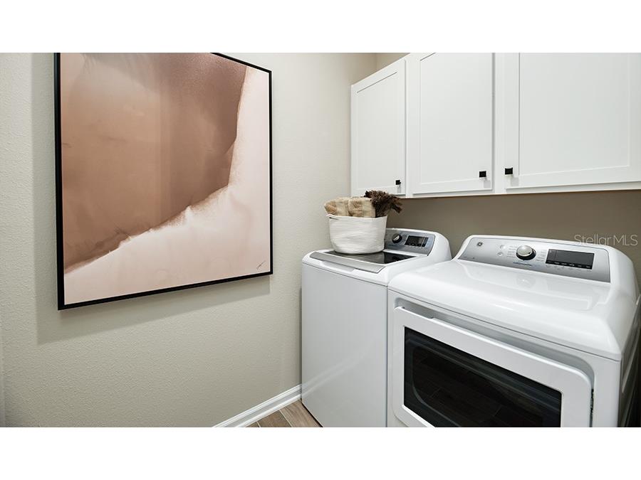 5323 Spring Maiden Circle Apollo Beach FL 33572 S5139720 image10