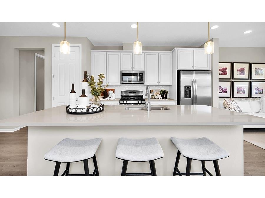 5323 Spring Maiden Circle Apollo Beach FL 33572 S5139720 image3