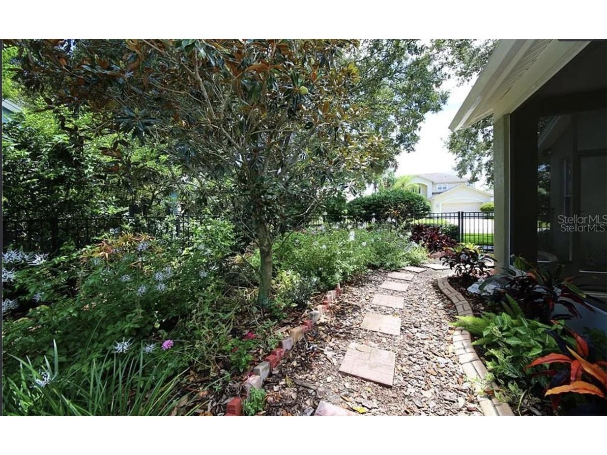 5324 Cottonwood Tree Circle Valrico FL 33596 TB8446562 image22