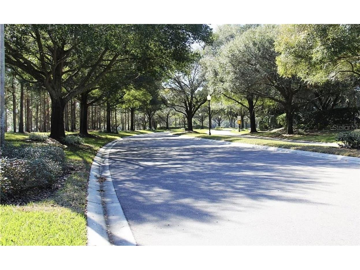 5324 Cottonwood Tree Circle Valrico FL 33596 TB8446562 image26