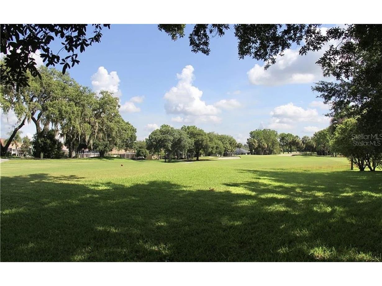 5324 Cottonwood Tree Circle Valrico FL 33596 TB8446562 image27