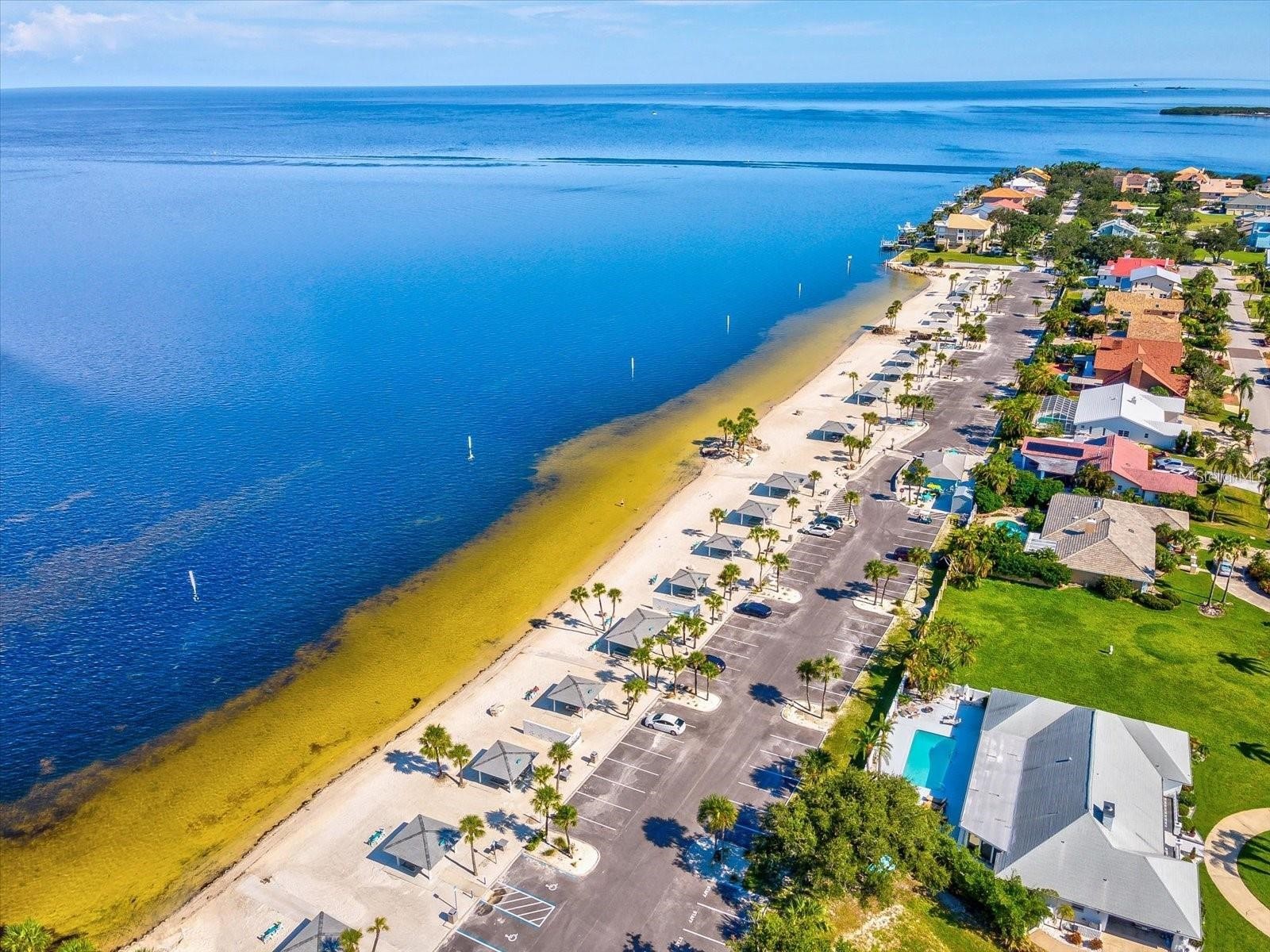 5324 Jobeth Drive New Port Richey FL 34652 TB8476976 image46