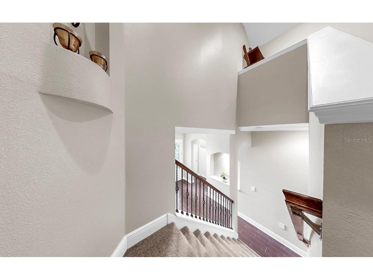 5324 Moon Shell Drive Apollo Beach FL 33572 TB8450614 image30