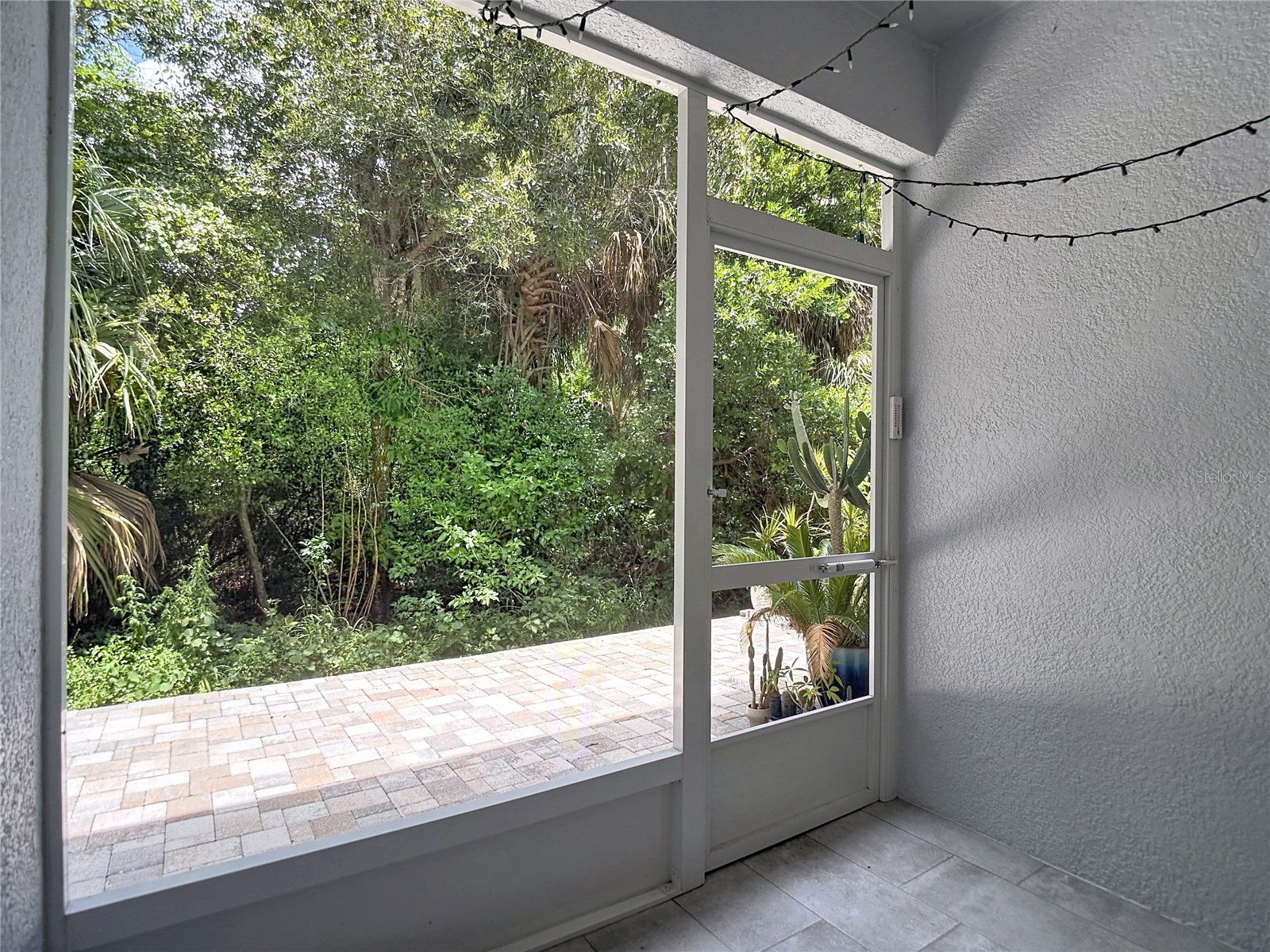 5324 Riverwalk Preserve Drive New Port Richey FL 34653 TB8525635 image63