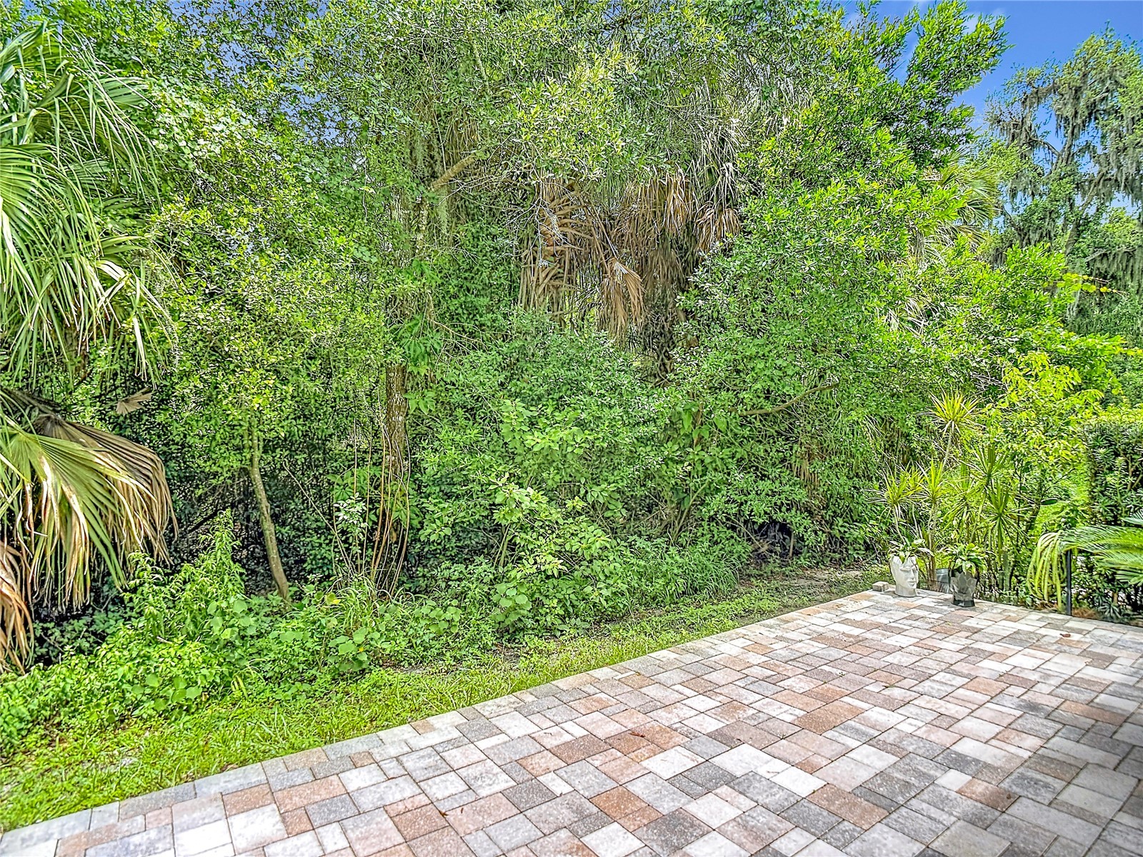 5324 Riverwalk Preserve Drive New Port Richey FL 34653 TB8525635 image69