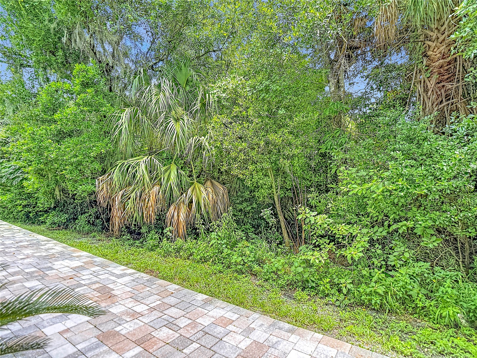 5324 Riverwalk Preserve Drive New Port Richey FL 34653 TB8525635 image70