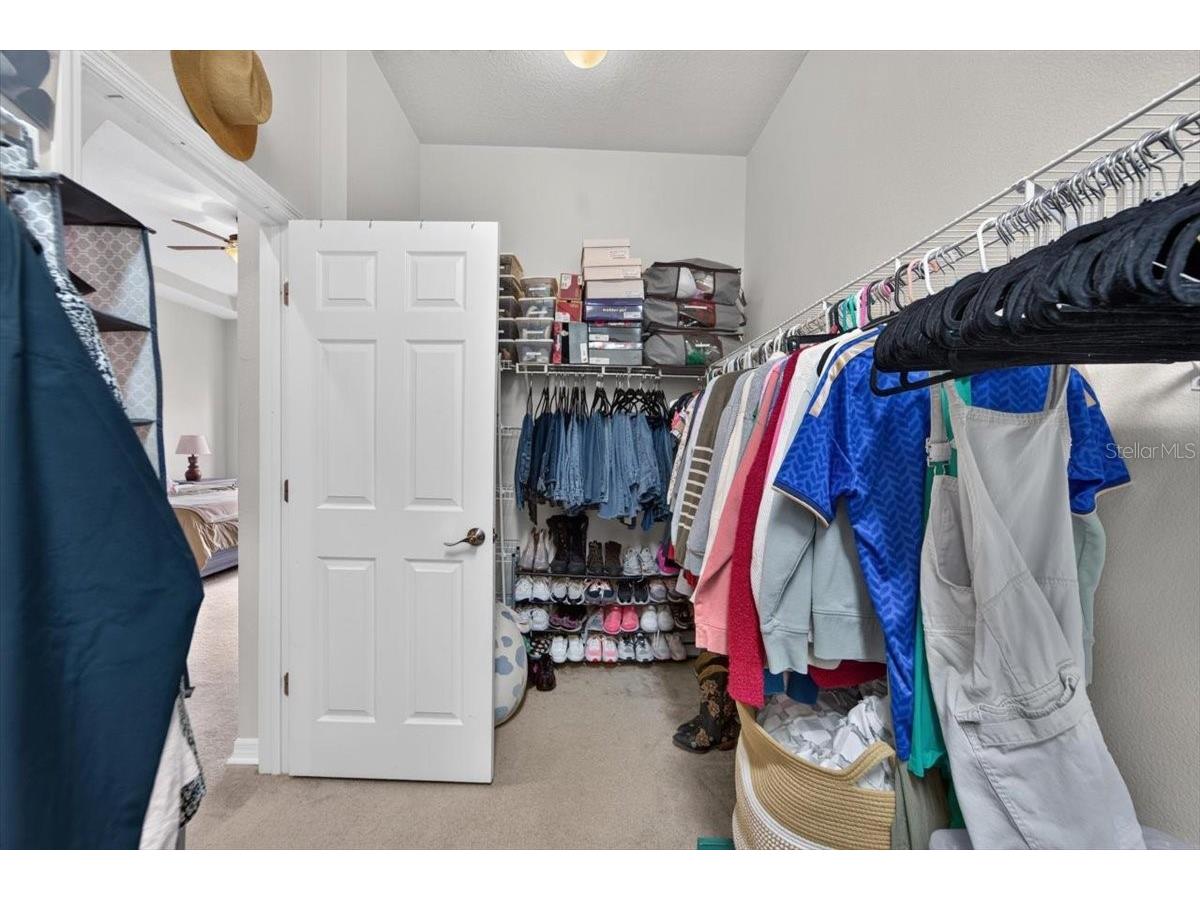 5325 Lake Siena Drive Wimauma FL 33598 TB8519534 image29