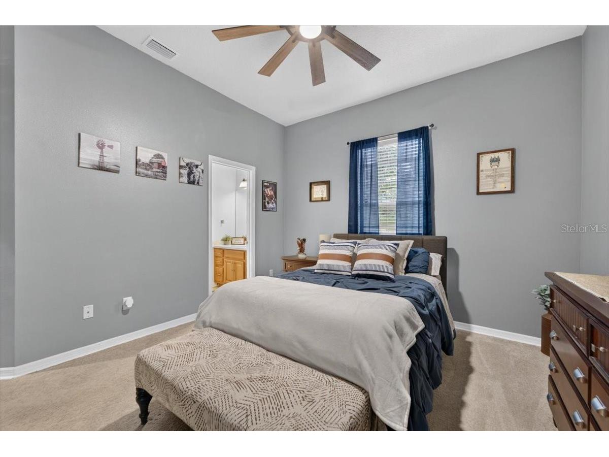 5325 Lake Siena Drive Wimauma FL 33598 TB8519534 image33