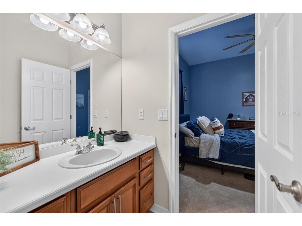 5325 Lake Siena Drive Wimauma FL 33598 TB8519534 image35