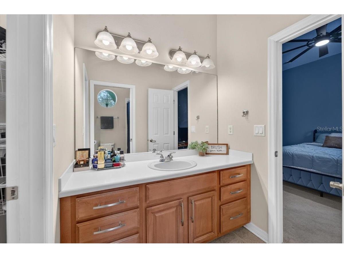 5325 Lake Siena Drive Wimauma FL 33598 TB8519534 image37