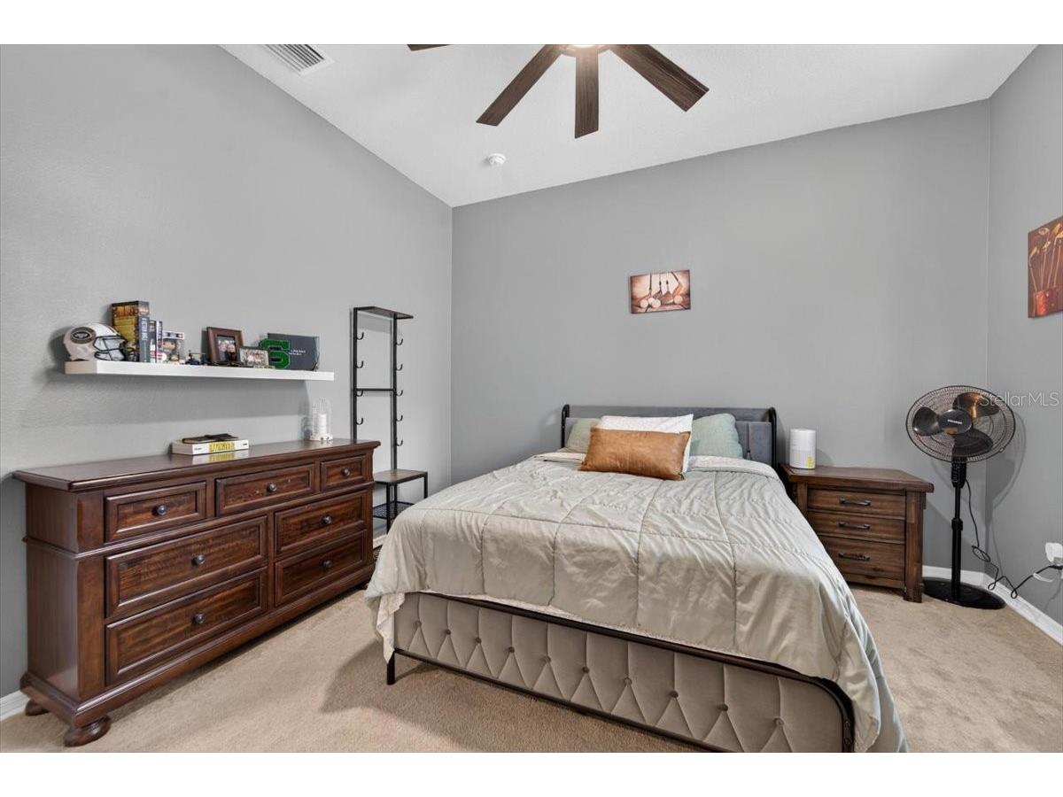 5325 Lake Siena Drive Wimauma FL 33598 TB8519534 image38