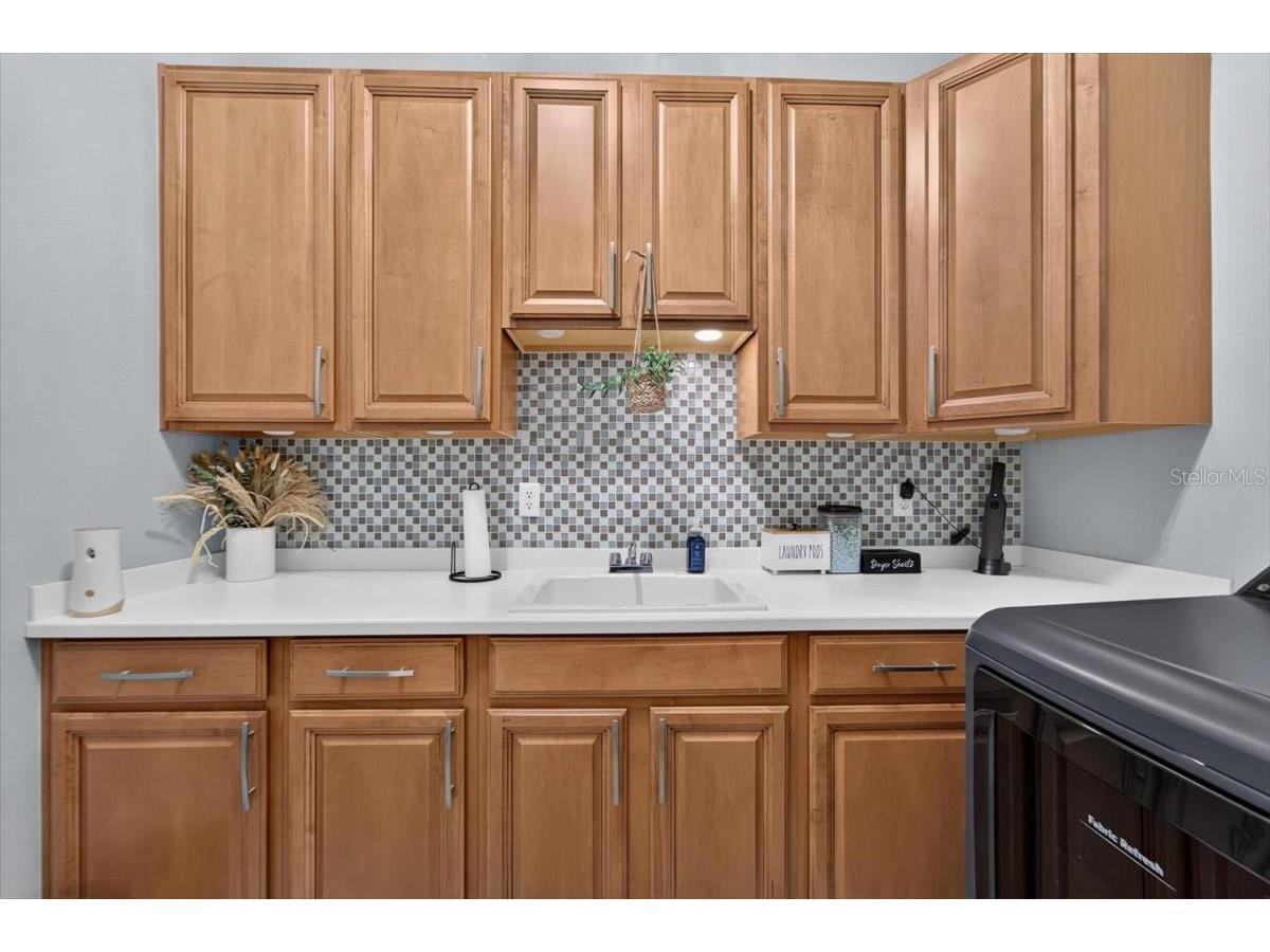 5325 Lake Siena Drive Wimauma FL 33598 TB8519534 image45
