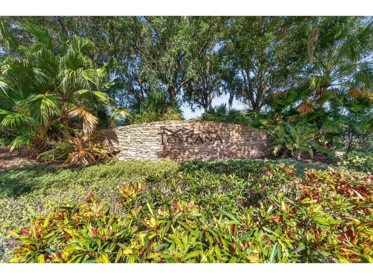 5325 Lake Siena Drive Wimauma FL 33598 TB8519534 image70