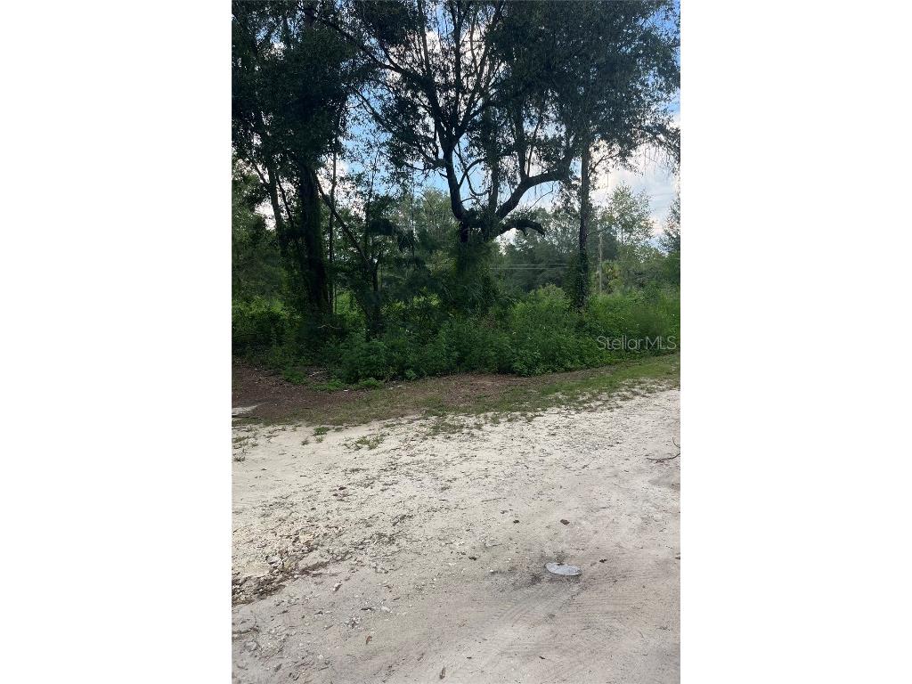 5325 NW 7th Street Ocala FL 34482 S5133194 image2