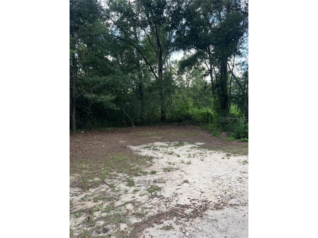 5325 NW 7th Street Ocala FL 34482 S5133194 image3