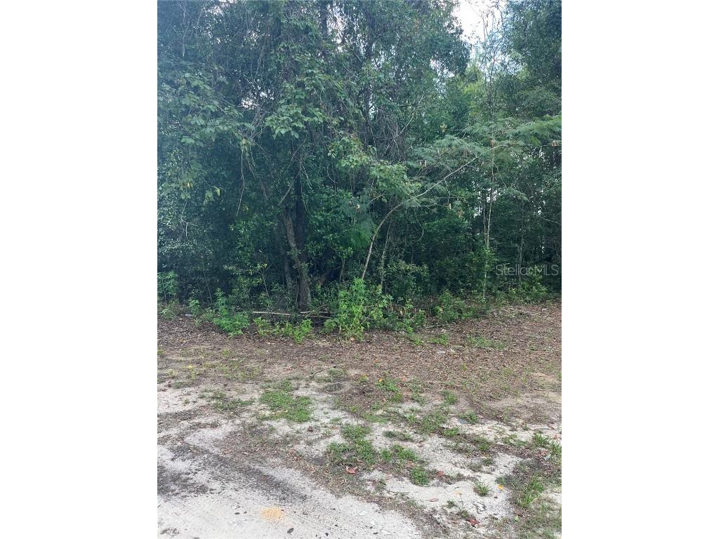 5325 NW 7th Street Ocala FL 34482 S5133194 image4