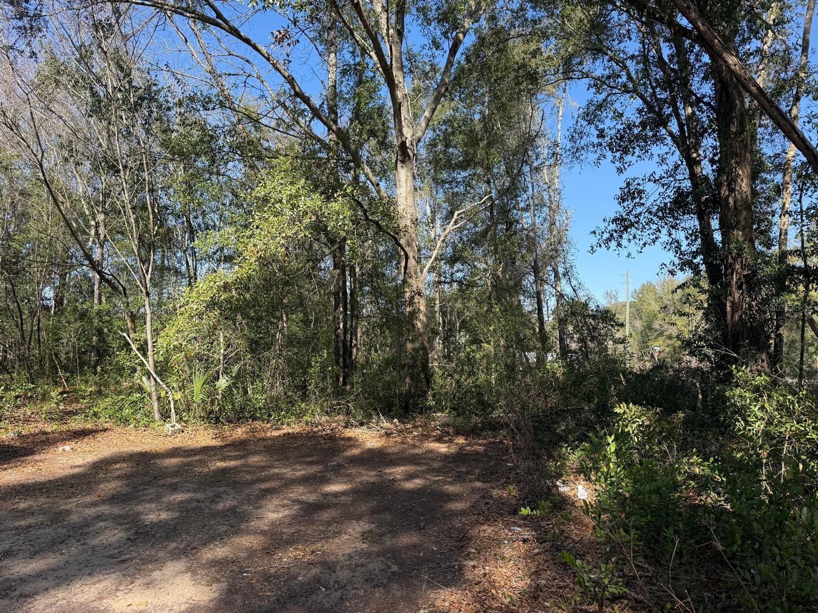 5325 NW 7th Street Ocala FL 34482 S5133194 image5