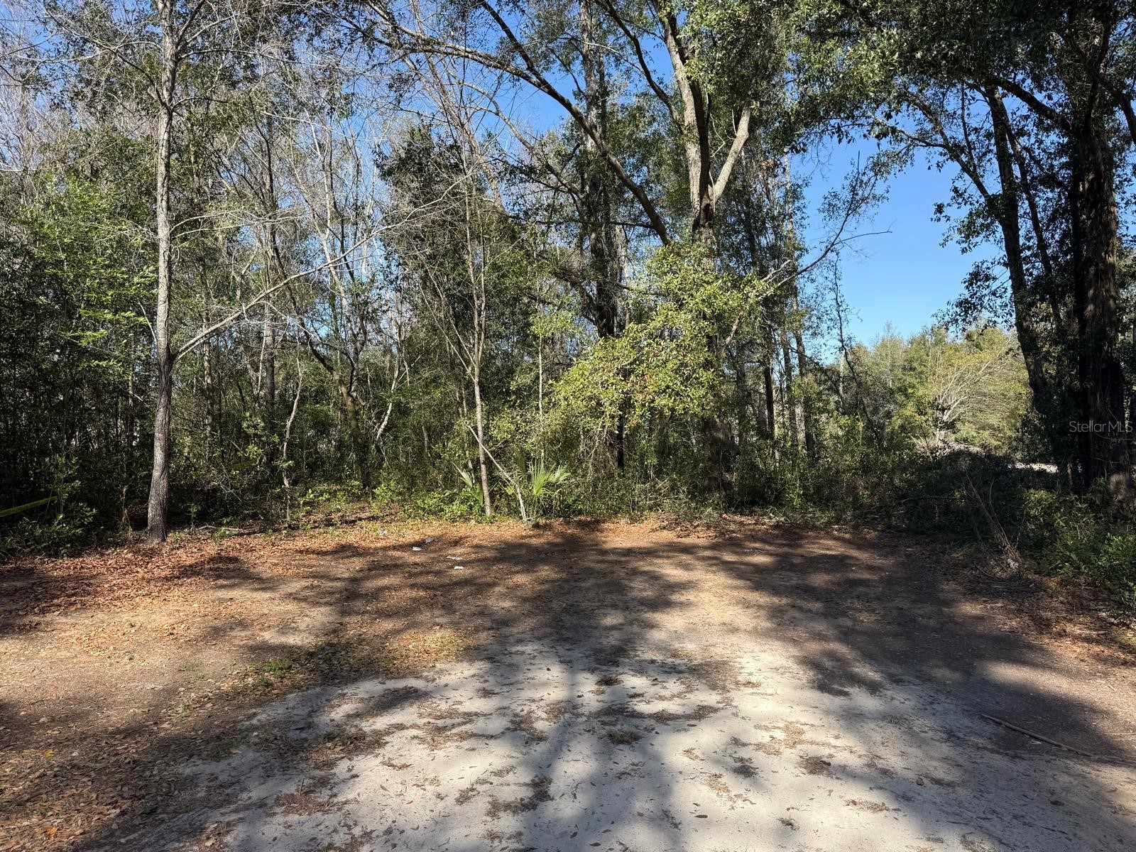 5325 NW 7th Street Ocala FL 34482 S5133194 image6