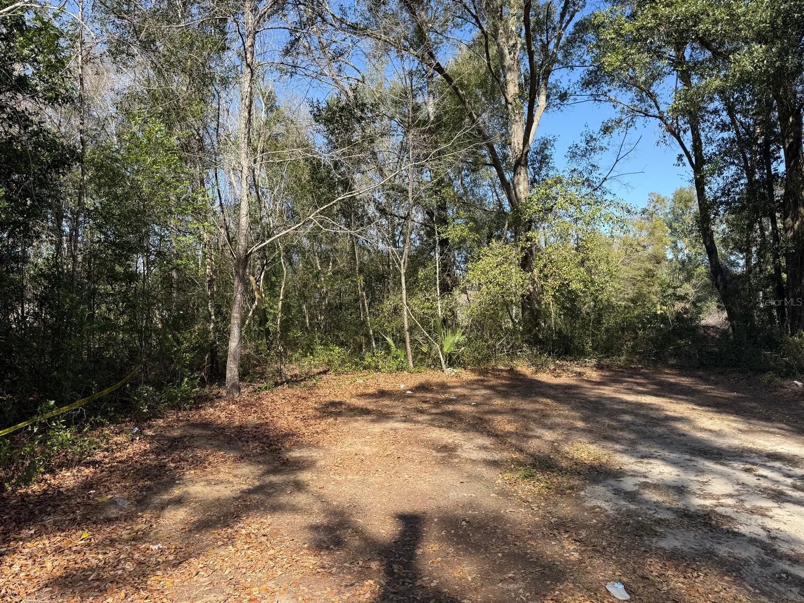 5325 NW 7th Street Ocala FL 34482 S5133194 image8