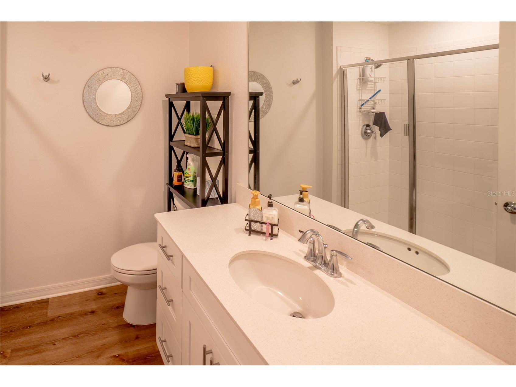 5325 Red Coral Circle Mount Dora FL 32757 O6381298 image33