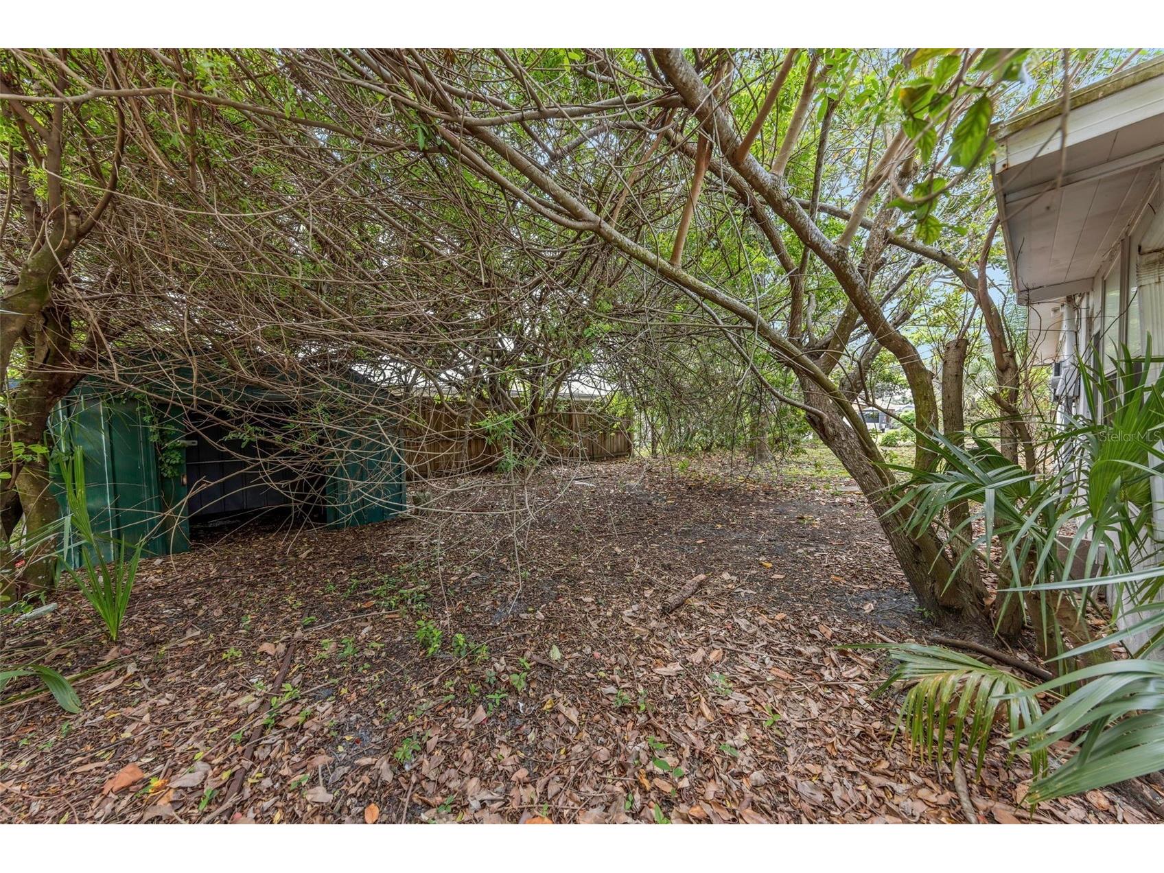 5326 Berkley Road New Port Richey FL 34652 TB8495349 image19