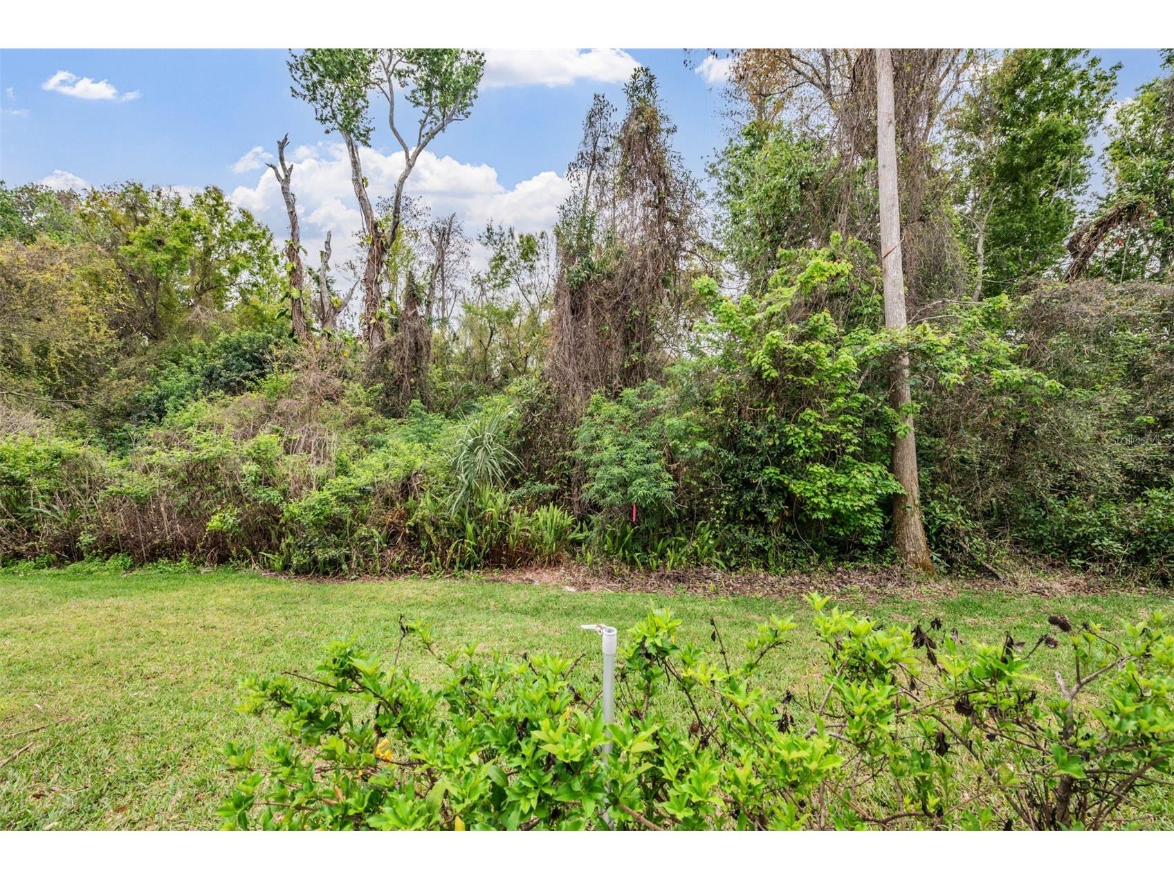 5326 Ridgewell Court Tampa FL 33624 TB8488740 image29