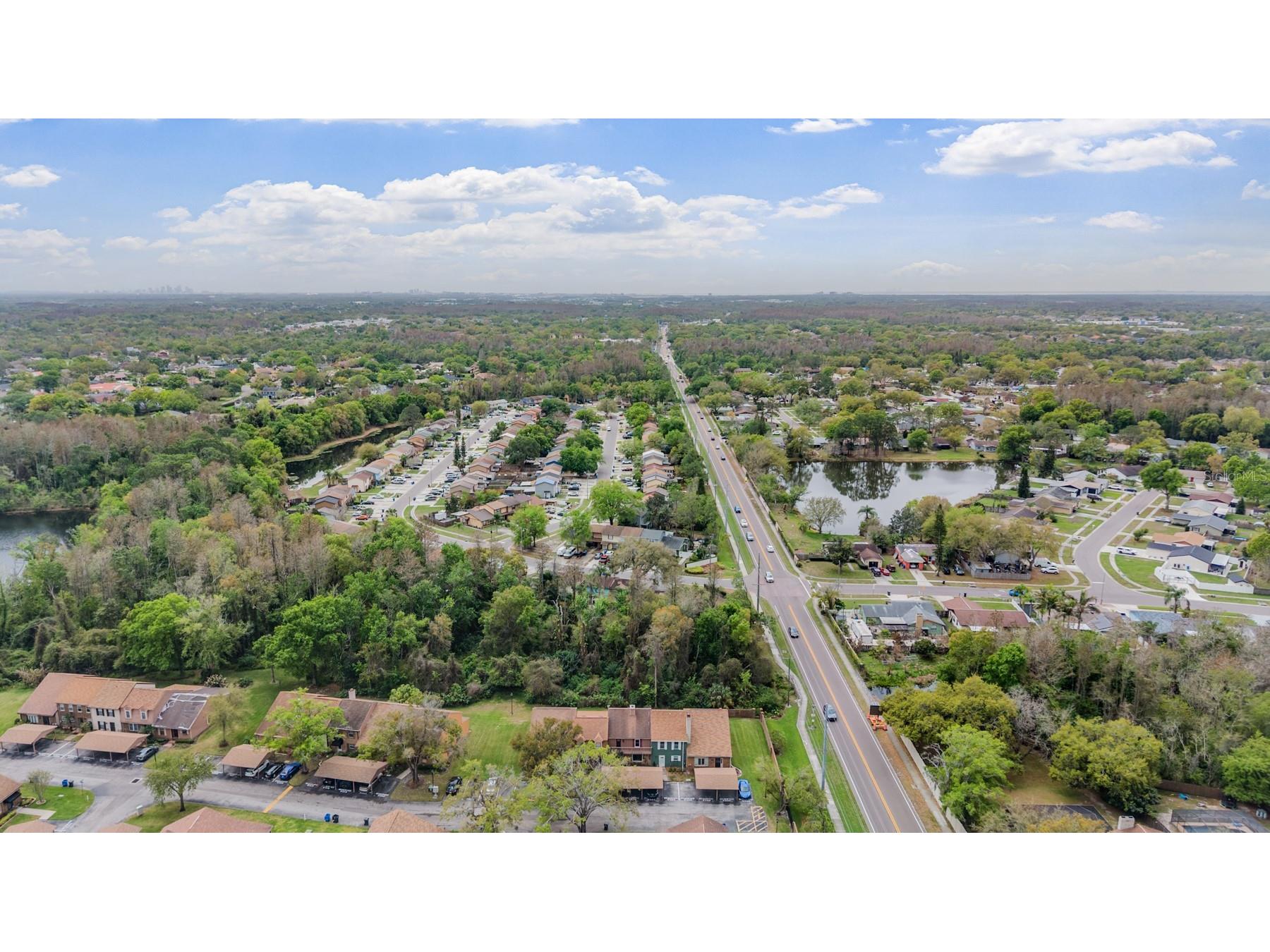 5326 Ridgewell Court Tampa FL 33624 TB8488740 image40