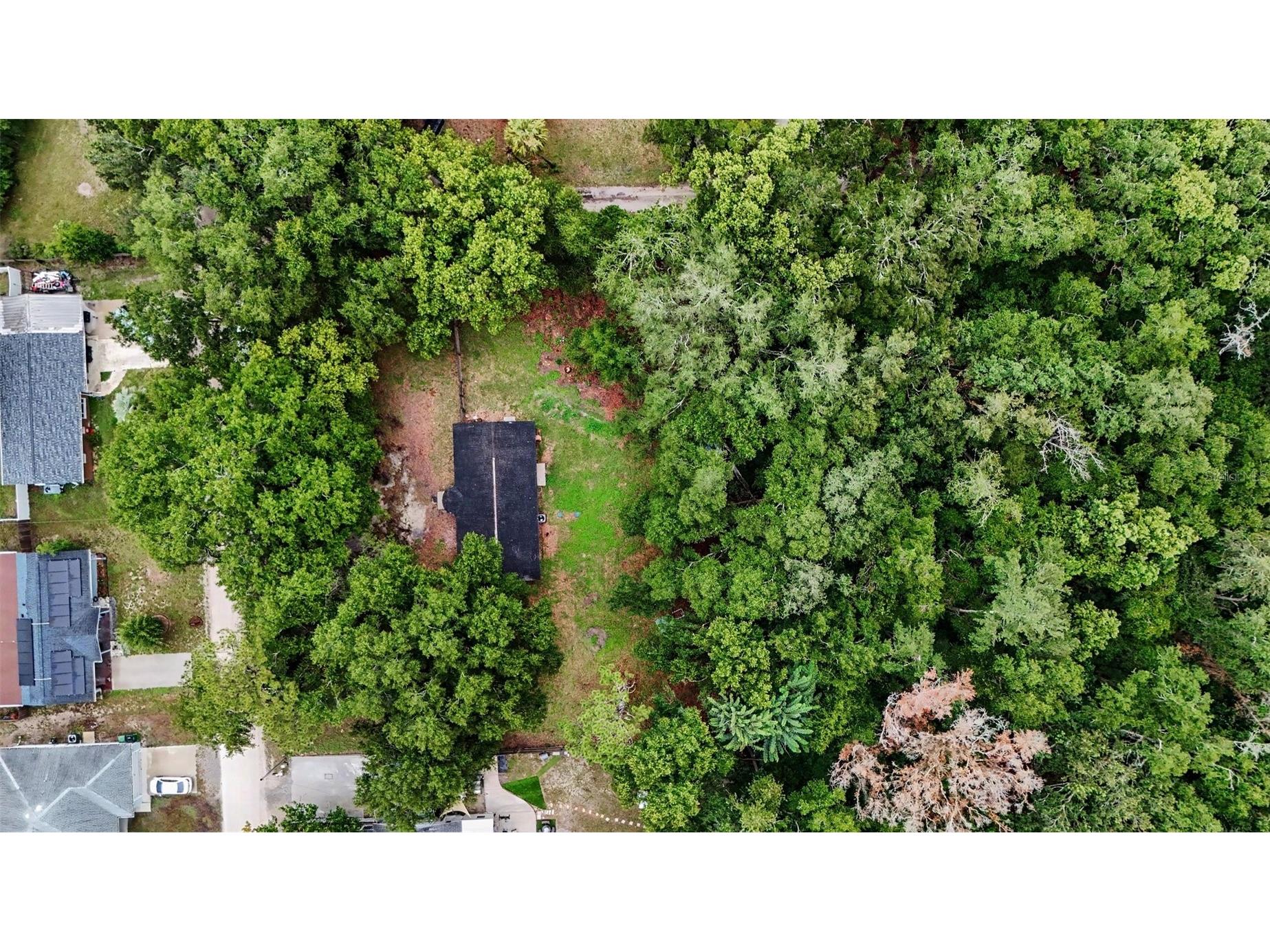 5328 Lantana Street Zephyrhills FL 33542 TB8528663 image29