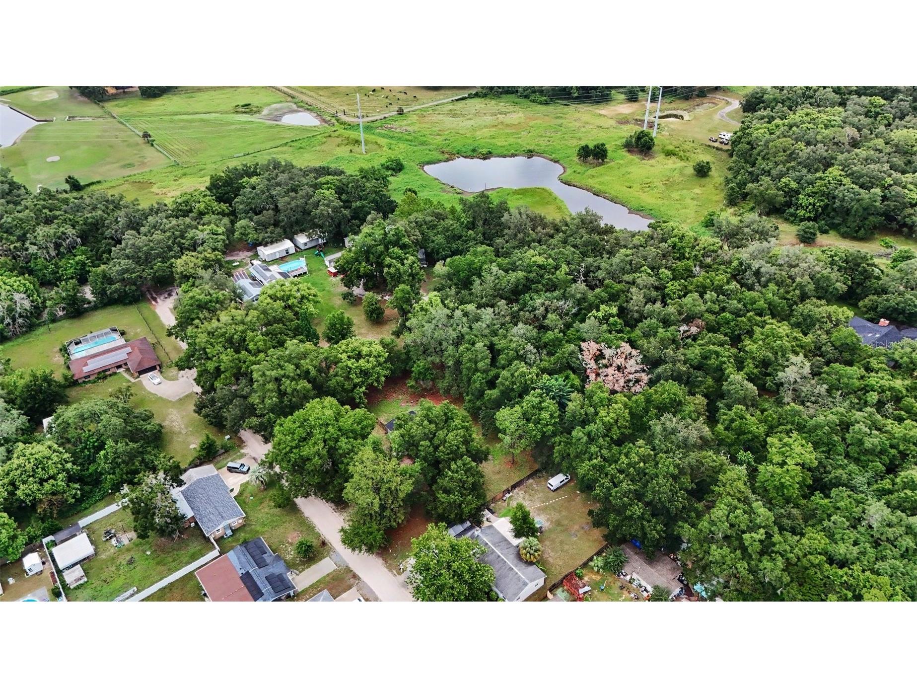 5328 Lantana Street Zephyrhills FL 33542 TB8528663 image30