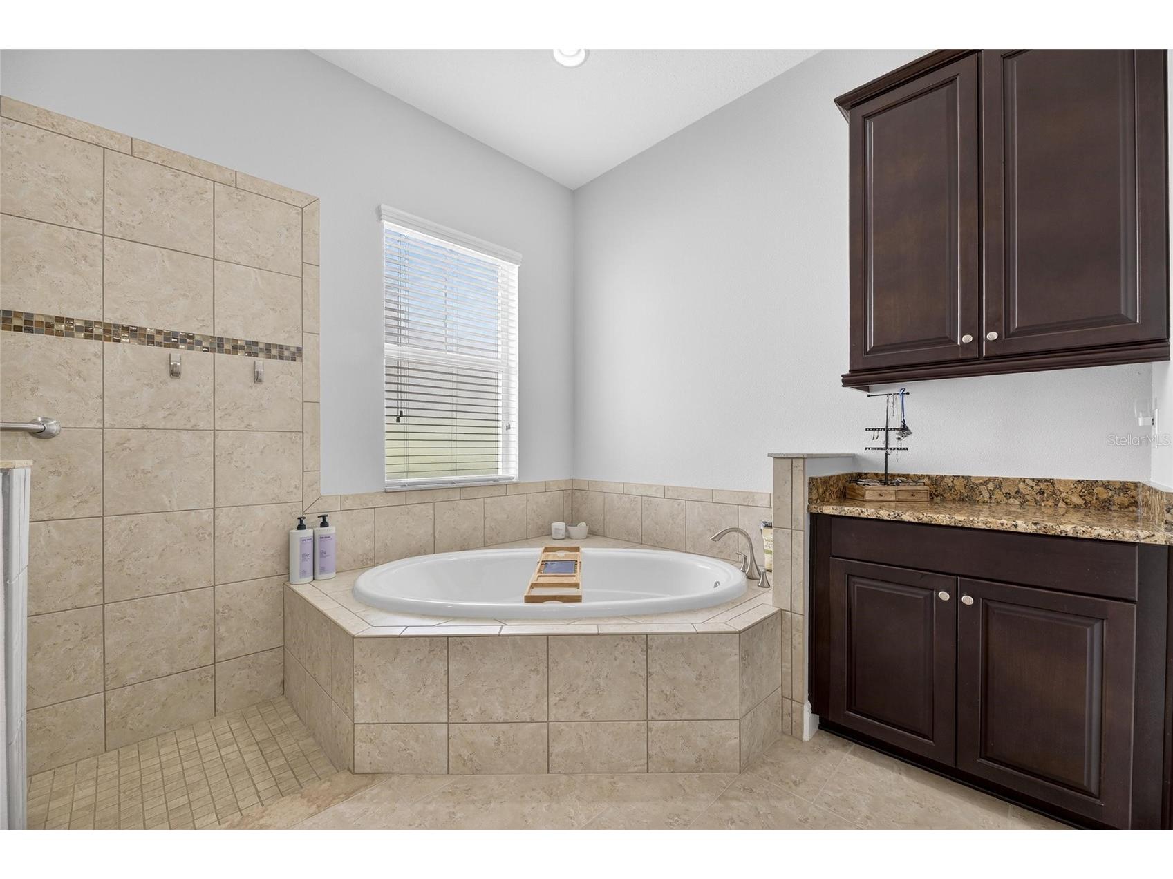 5328 Loon Nest Court Apollo Beach FL 33572 TB8477083 image35