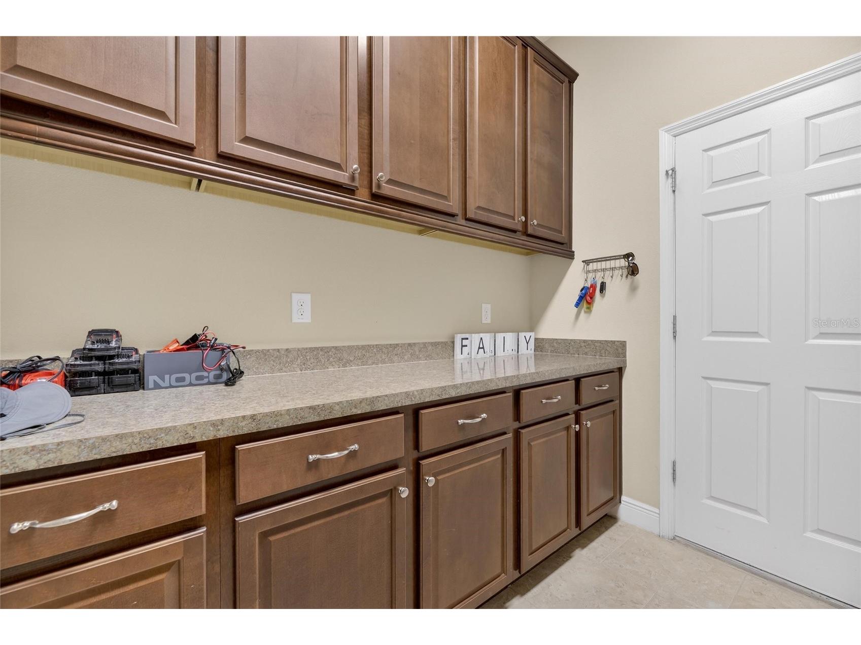 5328 Loon Nest Court Apollo Beach FL 33572 TB8477083 image50