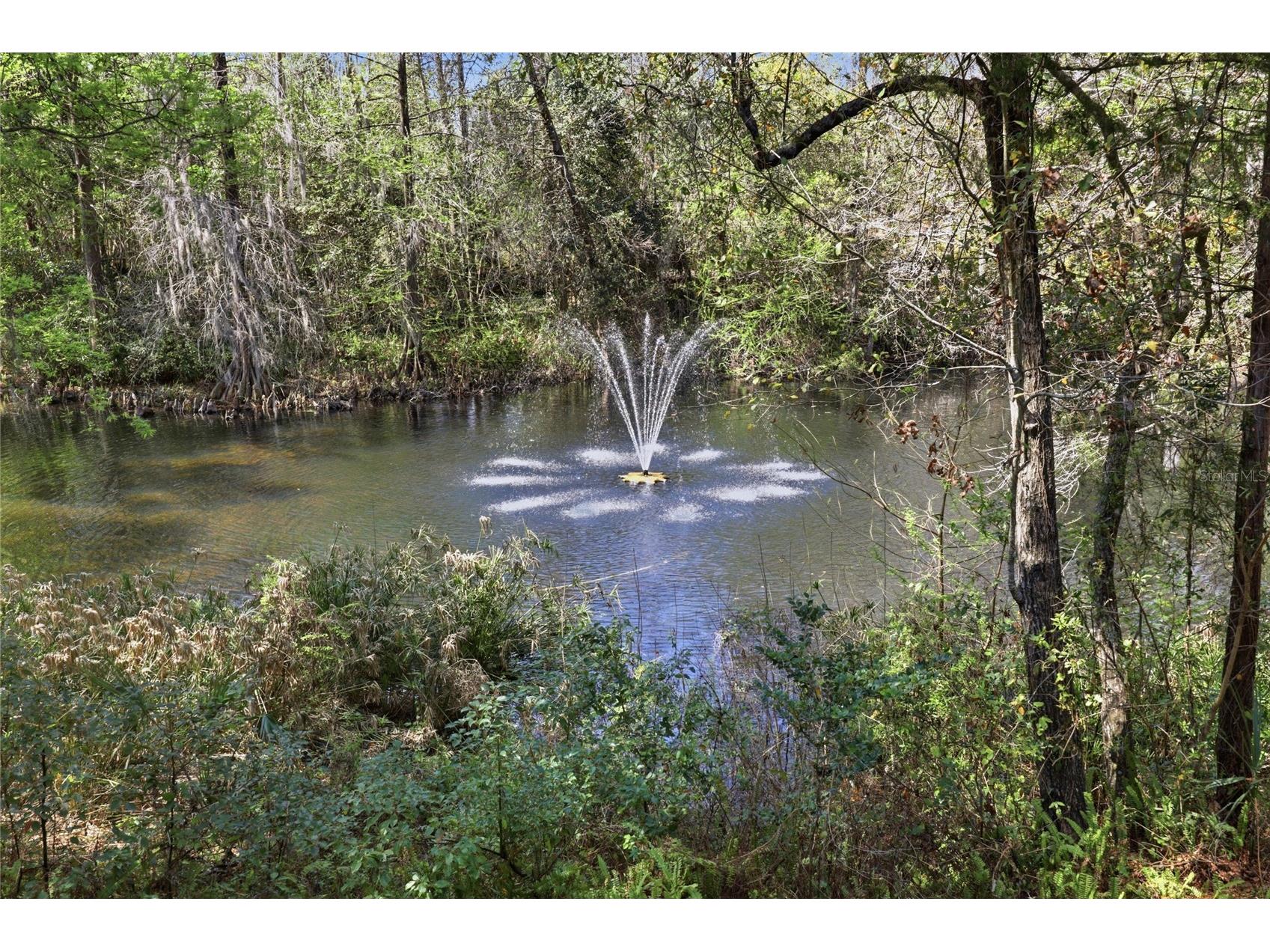 5328 NW 9th Lane Gainesville FL 32605 GC538375 image1