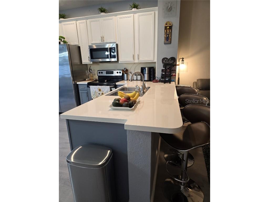 5328 Paradise Cay Circle Kissimmee FL 34746 O6357060 image15