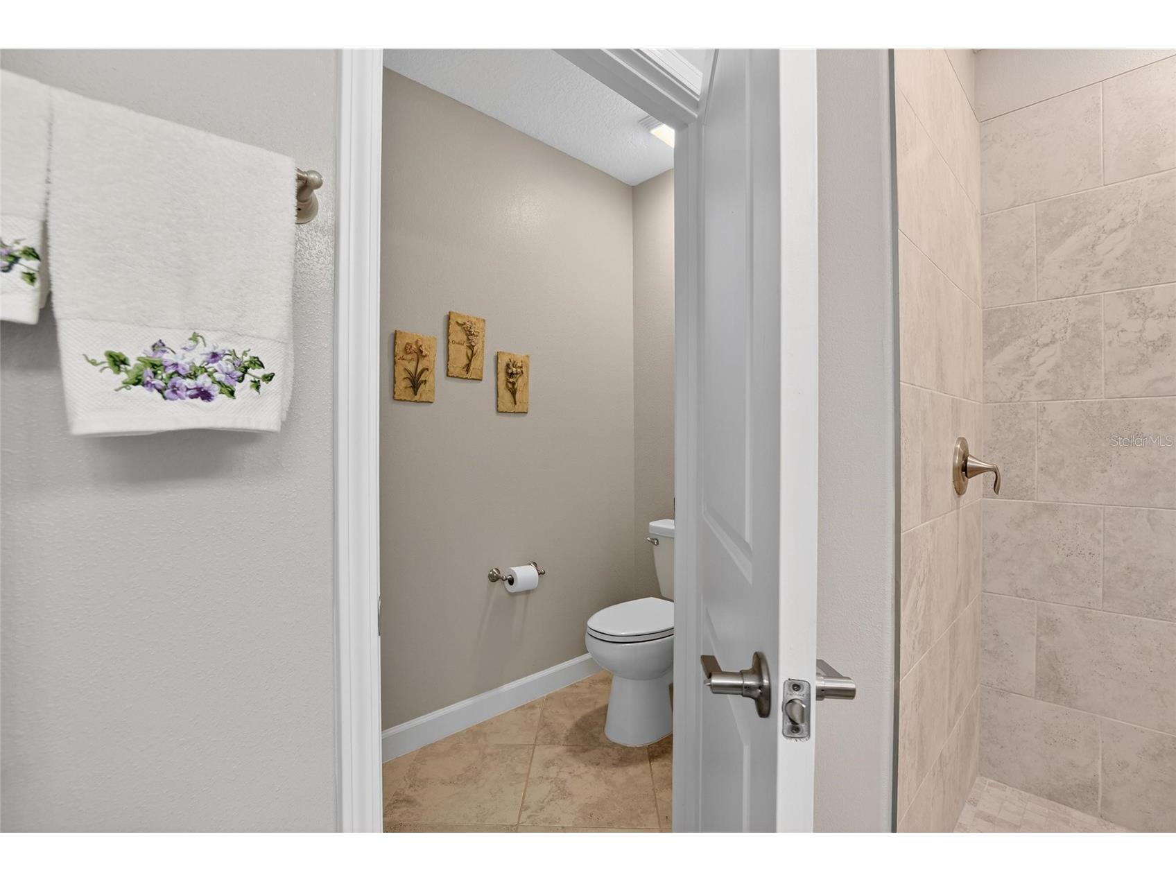 5328 Stoic Vale Drive Wimauma FL 33598 TB8471607 image17