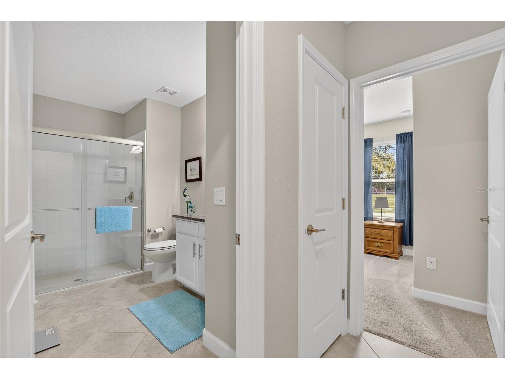 5328 Stoic Vale Drive Wimauma FL 33598 TB8471607 image24