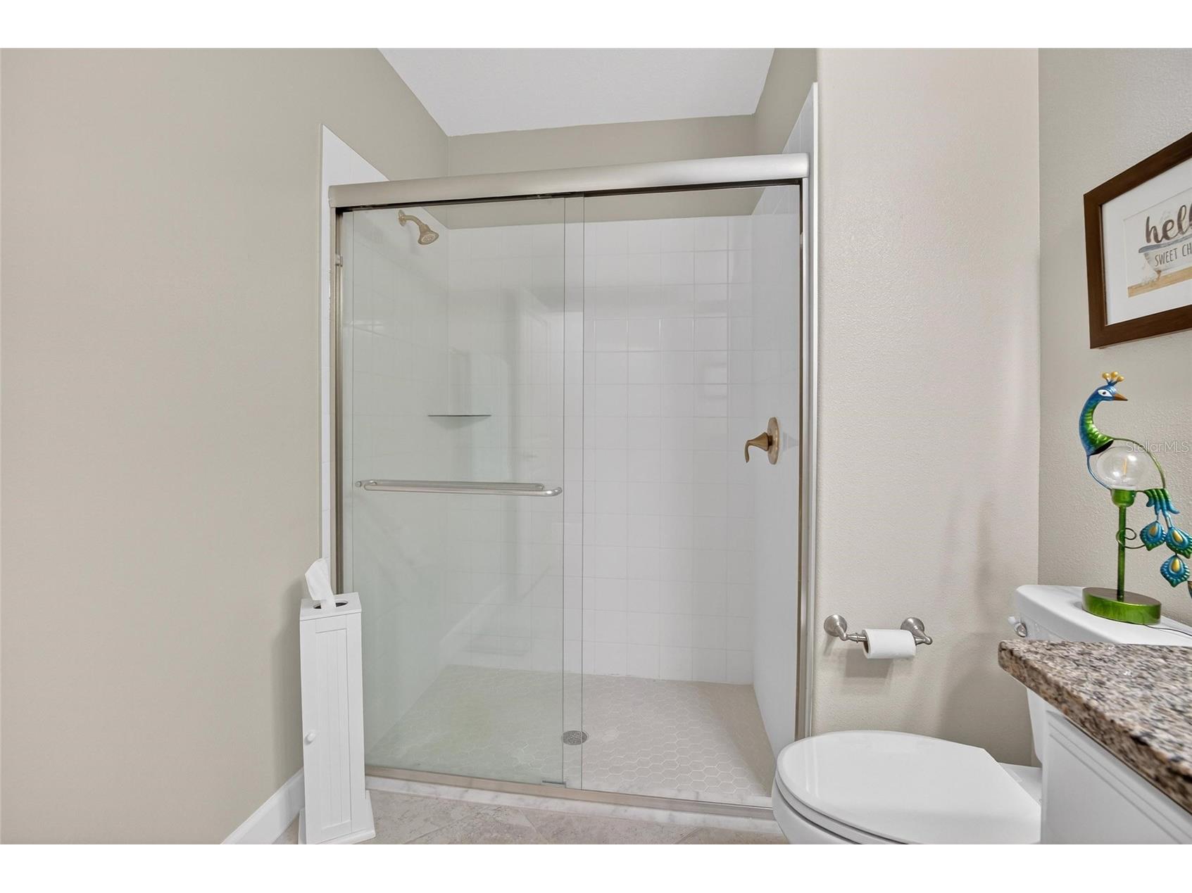 5328 Stoic Vale Drive Wimauma FL 33598 TB8471607 image25