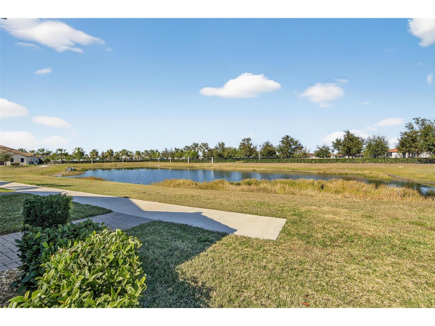 5328 Stoic Vale Drive Wimauma FL 33598 TB8471607 image44