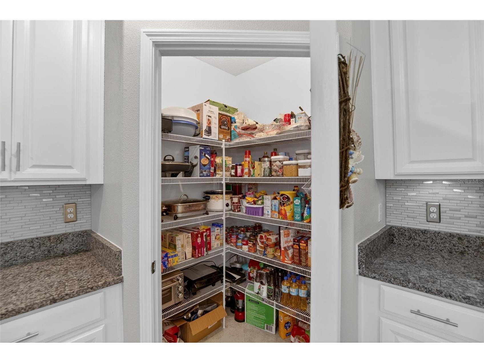 5328 Stoic Vale Drive Wimauma FL 33598 TB8471607 image7