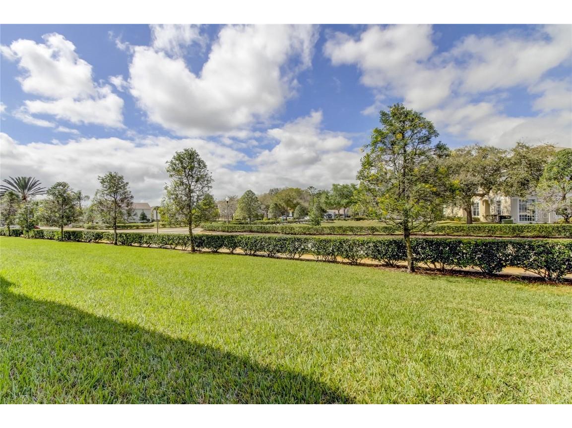 5329 Anhinga Trail New Port Richey FL 34653 TB8436014 image40