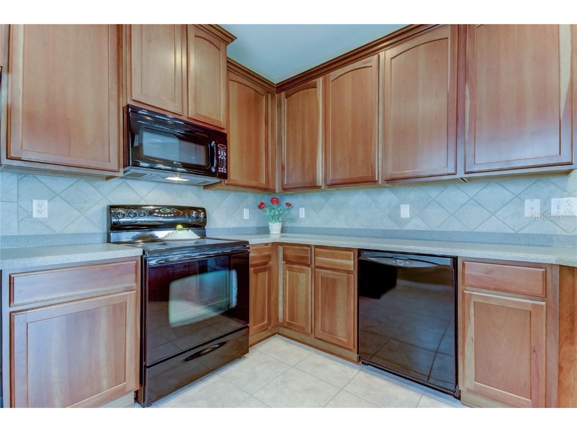 5329 Anhinga Trail New Port Richey FL 34653 TB8436014 image7