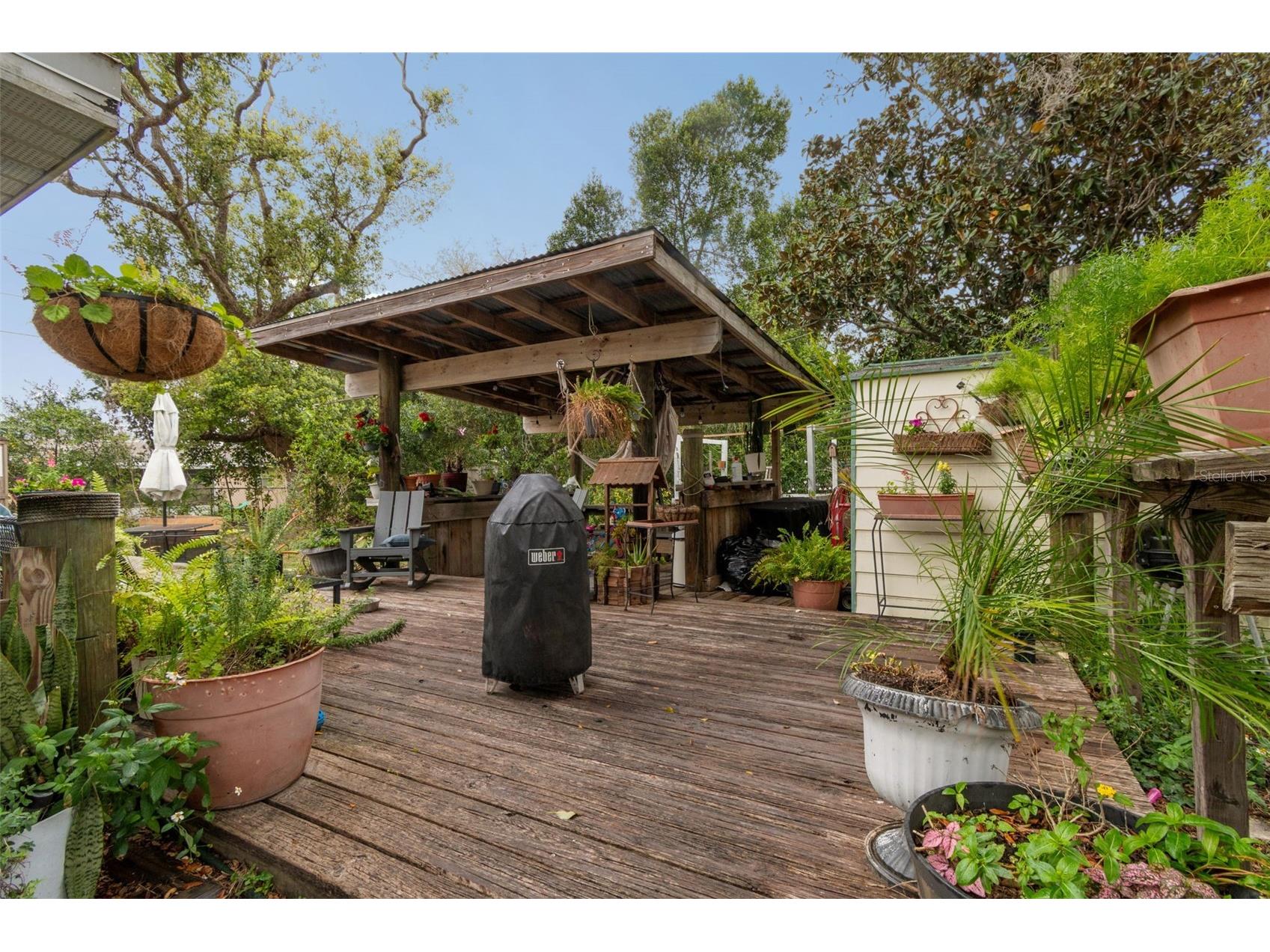 5329 Forest Hills Drive Holiday FL 34690 TB8486940 image28