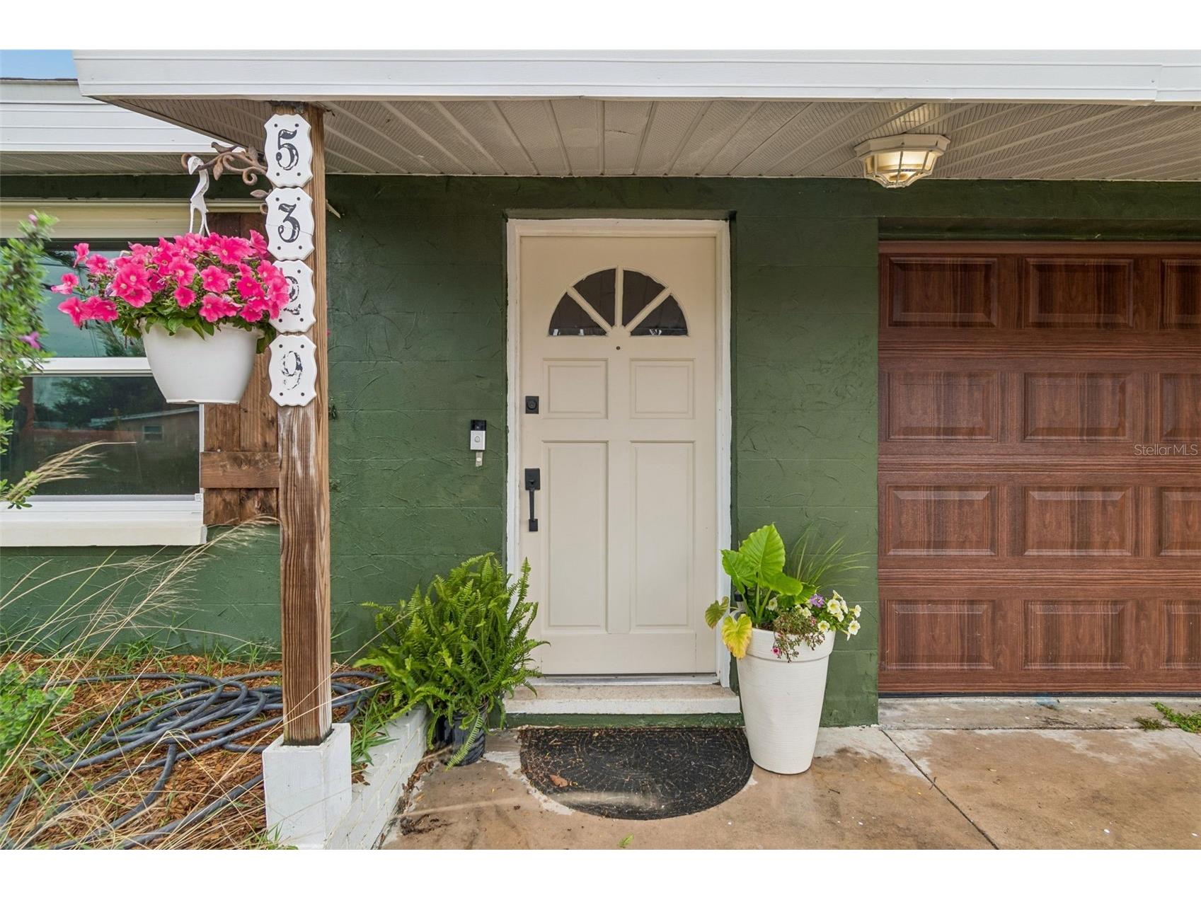 5329 Forest Hills Drive Holiday FL 34690 TB8486940 image3
