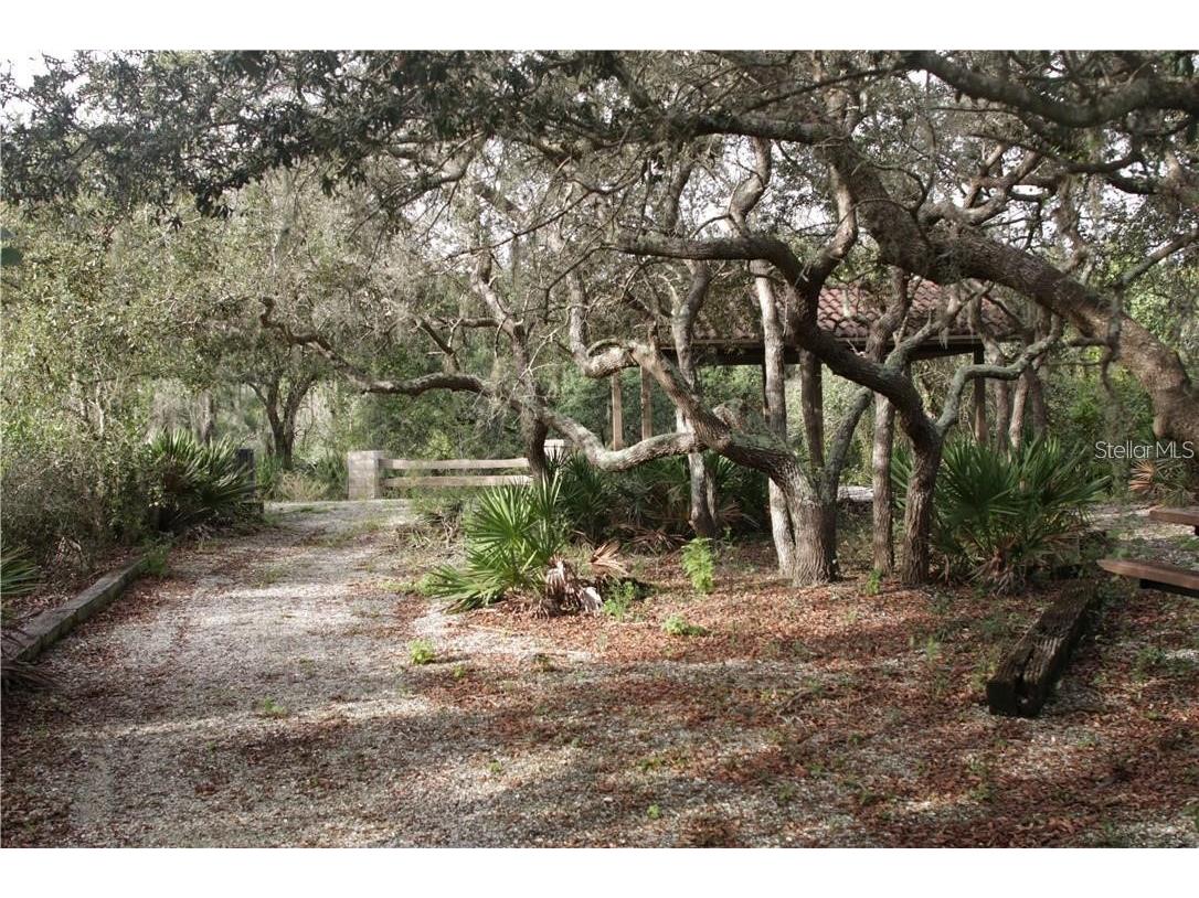 5329 Lake Venice Drive Wimauma FL 33598 - LAKE TOSCANA TB8453757 image13