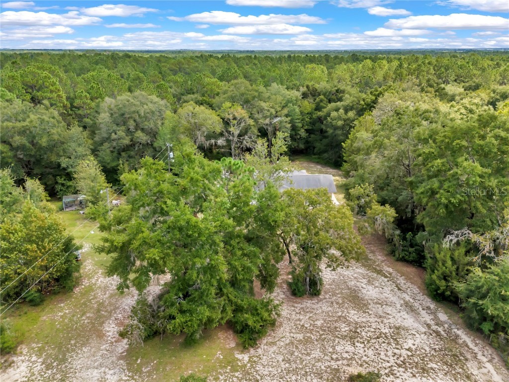 5329 SW 191st Court Dunnellon FL 34432 OM709825 image59